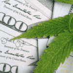 Cannabis Revenue